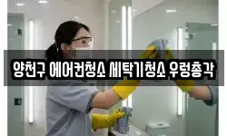 양천구 에어컨청소 세탁기청소 우렁총각