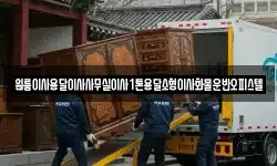 원룸이사용달이사사무실이사1톤용달소형이사화물운반오피스텔
