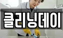 클리닝데이