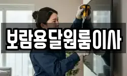 보람용달원룸이사