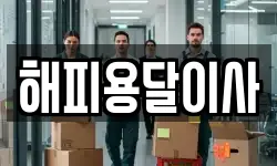 해피용달이사