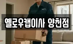 옐로우캡이사 양천점