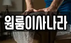 원룸이사나라