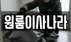 원룸이사나라