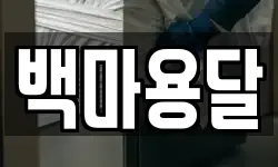 백마용달