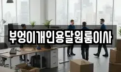 부엉이개인용달원룸이사