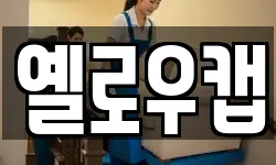 옐로우캡