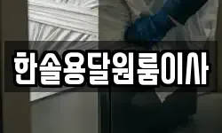 한솔용달원룸이사