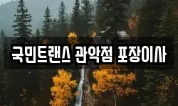 국민트랜스 관악점 포장이사