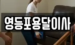 영등포용달이사