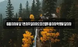 원룸이사용달1톤사무실이사오피스텔투룸이사학생용달이사