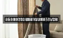 자동차에어컨청소냄새제거실내에바크리닝업체