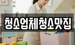청소업체청소맛집