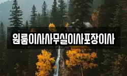 원룸이사사무실이사포장이사