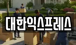 대한익스프레스