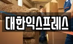대한익스프레스