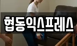 협동익스프레스