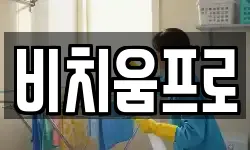비치움프로