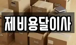 제비용달이사