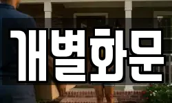 개별화문