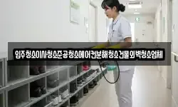 입주청소이사청소준공청소에어컨분해청소건물외벽청소업체
