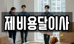 제비용달이사