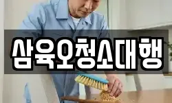 삼육오청소대행
