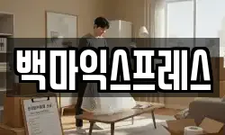 백마익스프레스