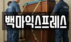 백마익스프레스