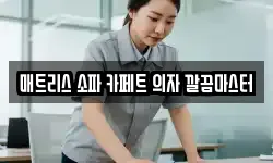 매트리스 소파 카페트 의자 깔끔마스터