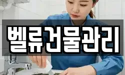 벨류건물관리