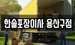 한솔포장이사 용산구점