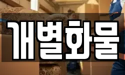 개별화물
