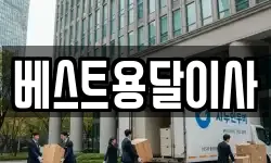 베스트용달이사