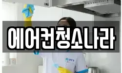 에어컨청소나라
