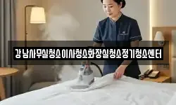 강남사무실청소이사청소화장실청소정기청소센터