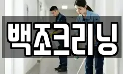 백조크리닝