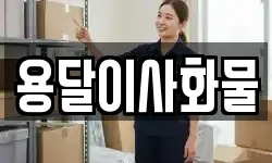 용달이사화물