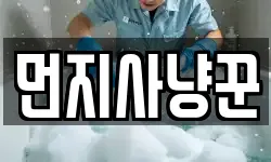 먼지사냥꾼