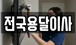 전국용달이사