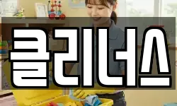 클리너스