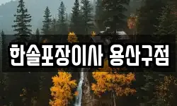 한솔포장이사 용산구점