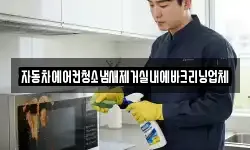 자동차에어컨청소냄새제거실내에바크리닝업체