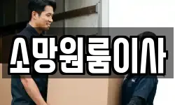 소망원룸이사