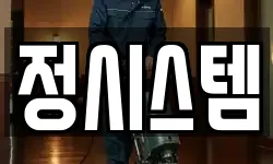 정시스템