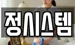 정시스템