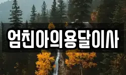 엄친아의용달이사