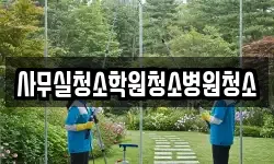사무실청소학원청소병원청소
