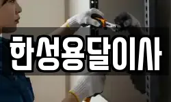 한성용달이사