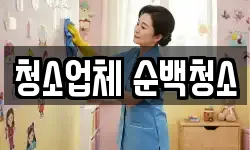 청소업체 순백청소